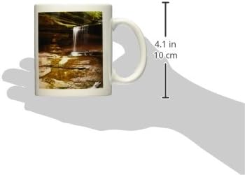 Водопад 3dRose, каньон ЛаСалль, Гладен Рок, Илинойс-US14 CHA0026-Керамична чаша Чък Haney, 11 грама, бяла
