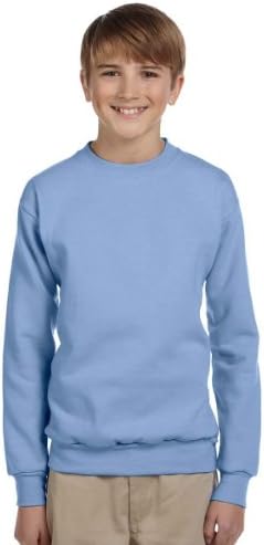 Мъжки hoody с високо воротом Hanes ComfortBlend® EcoSmart® Светло син цвят
