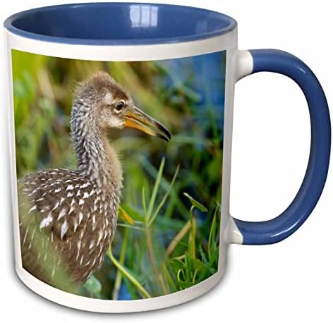 3дРоуз Лимпкин bird, влажните зони Viera, Флорида, САЩ - US10 MPR0515 - Maresa. - Чаши (mug_143725_1)