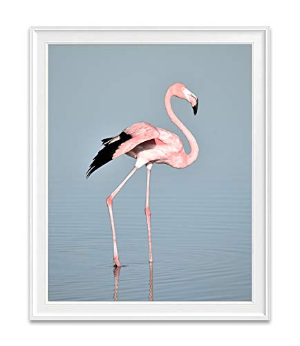 Принт с изображение на Птици в Дивата природа на Розово Фламинго, Без Рамка, Крайбрежен Декор за Дома и Стените,