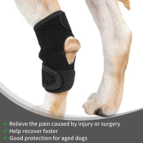 Бандаж за скакателните стави Yachirobi за кучета, Поддръжка на задните крака на кучето при артрит, Степента