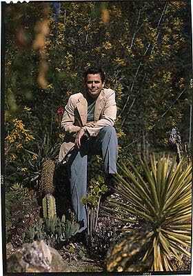 Рядка портретна фотосесия на Глен Форд от Cactus 1949 г., Прозрачен слайд-филм