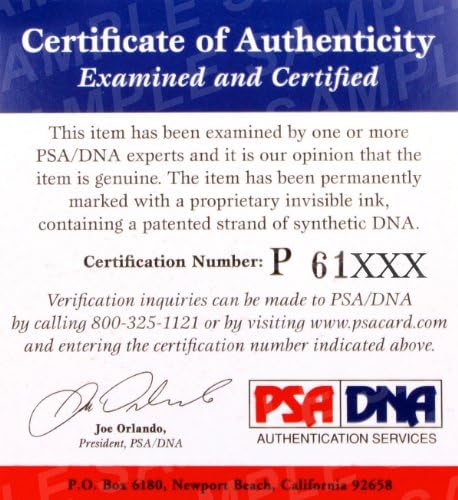 Рен Кубота подписа официално боксови ръкавици Isami Снимайте PSA / DNA Rizin FF с автограф - боксови ръкавици