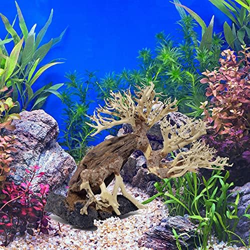 Аквариумное Бонсай от дънери ASRB По избор (6 инча x 8 инча Л) Естествена Украса за вашия аквариум, ръчно изработени