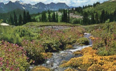 Национален парк Mount-Рение, пощенска Картичка от Вашингтон