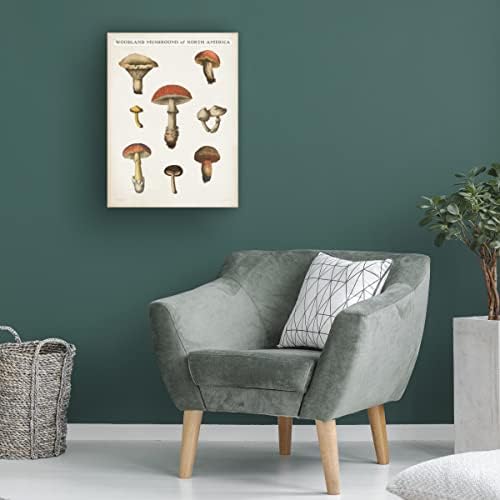 Търговска марка на Fine Art 'Mushroom Chart II Light' Платно-арт от Wild Apple Portfolio 14x19
