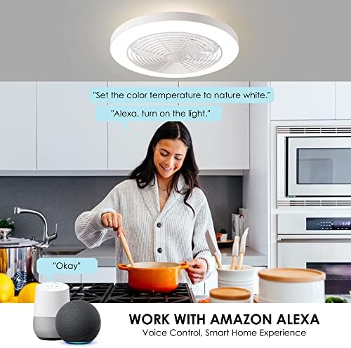 Орисон 19.7 черно (без Alexa)+Бяло(Алекса) Нископрофилен, вентилатор на тавана с осветление - Интелигентна вентилатори